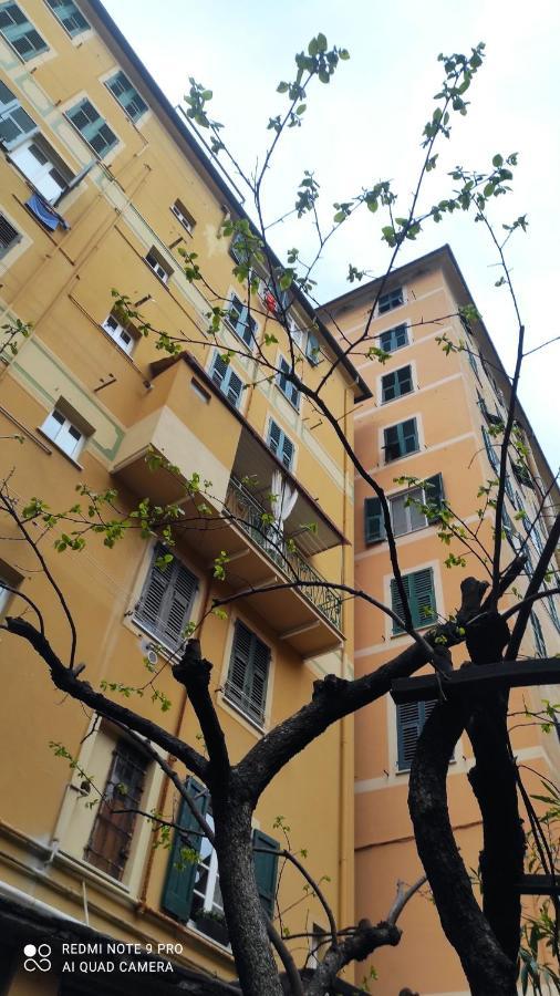 Appartamento La Nina Camogli Esterno foto